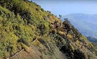 trekking Doi Inthanon national park, Chiang Mai