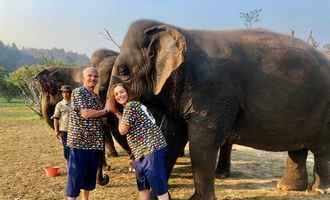 Elephant camp, Chiang Mai, Thailand