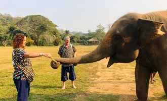 Elephant camp, Chiang Mai, Thailand