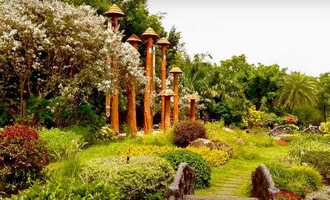 Wat Doi Suthep, Chiang Mai, Thailand