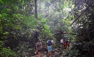 Khao sok National park trekking, Thailand