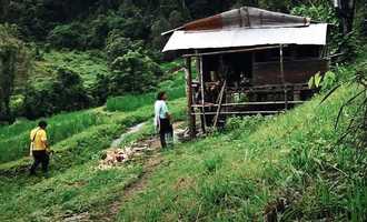 trekking in Pai, Mae Hong Son, Thailand