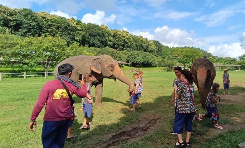 Thailand Chiang Mai, Elephant Sanctuaries