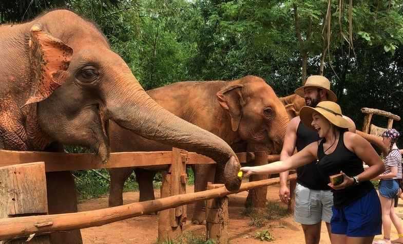 Half-Day Elephant Tours in Chiang Mai by Travel Authentic Asia You Should Experience
