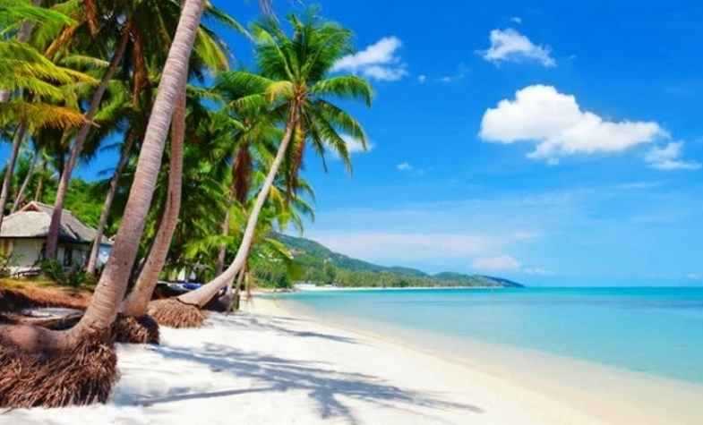 The pristine island beach of Koh Samui