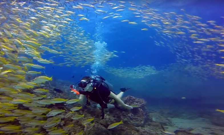 Discover the Thrills of Scuba Diving in Thailand