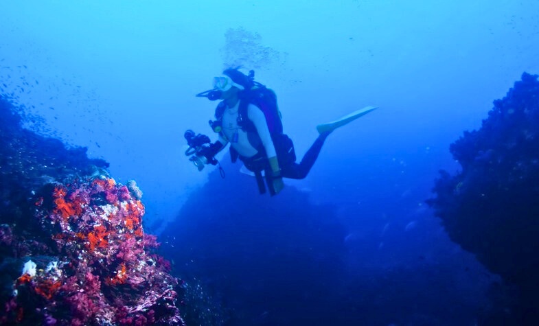 Thailand, Diving in Similan Island