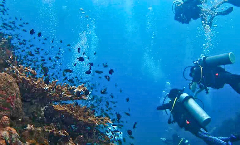 Scuba diver exploring vibrant coral reefs in clear blue waters of Thailand