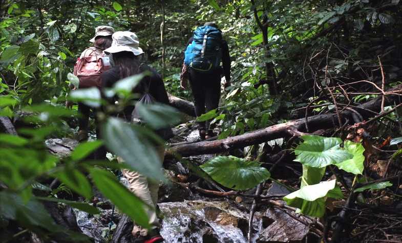 Trekking in Thailand