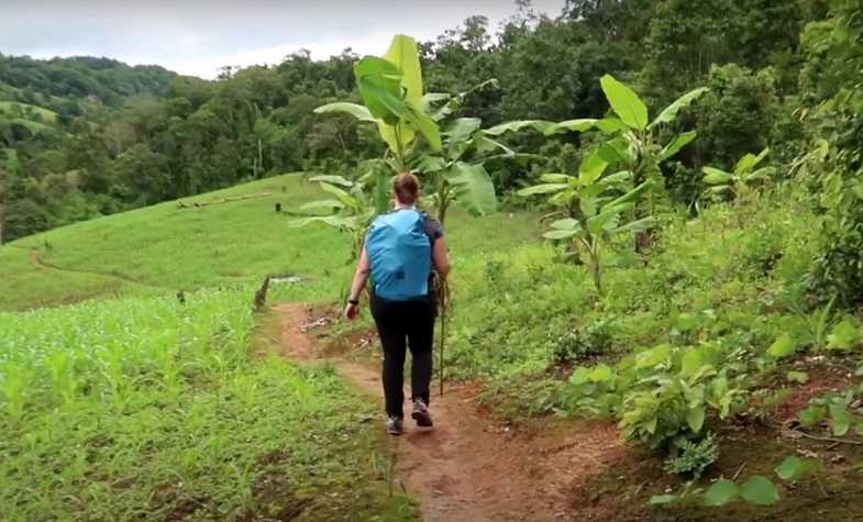 Nature trail in Thailand