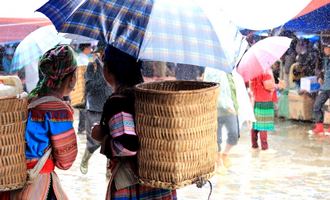 bacha market, vietnam