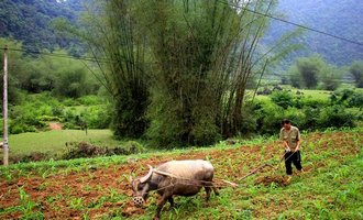 cao bang, Vietnam