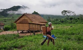 on the ho chi minh trails, vietnam