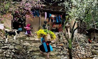 A Hmong house, Ha Giang, Vietnam