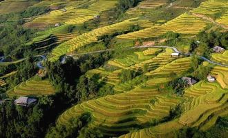 Hoang Su Phi terraces, Ha Giang, Vietnam