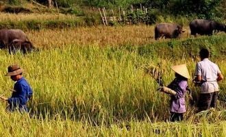 Mai Chau valley, Hoa Binh, Vietnam