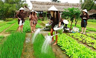 farming activity in Hoi An - Vietnam tour