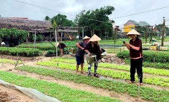 Farming with local in Hoi An, Vietnam 2-week tour, Vietnam 15-day tour