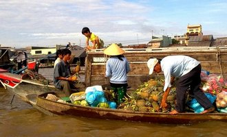 mekong delta, vietnam