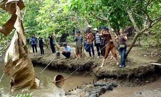 mekong delta, vietnam