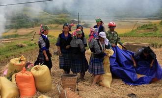 mu cang chai, vietnam