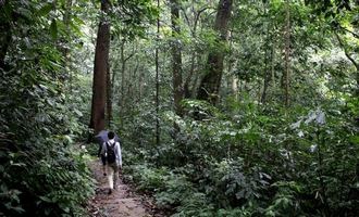 Cuc Phuong national park Ninh Binh Vietnam