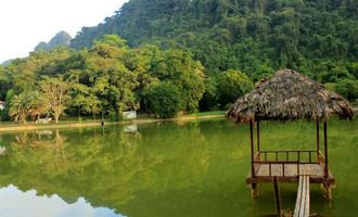 Cuc phuong NP, Vietnam