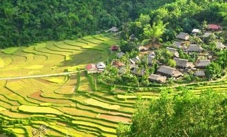 Mai Chau - Pu Luong & Ninh Binh 3 days