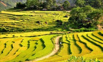 Pu Luong, Vietnam