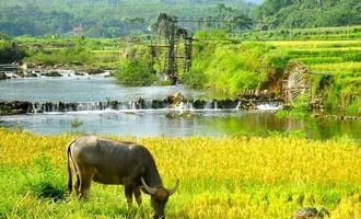 Pu Luong, Vietnam