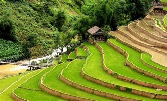 Sapa Lao Cai Vietnam