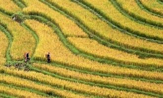 Northern Vietnam Escapade