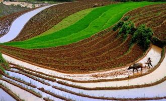 Sapa exploration, vietnam 9 days tour, North Vietnam Tour