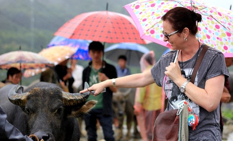 foreign tourist was exciting when met a buffalo in Bac Ha market