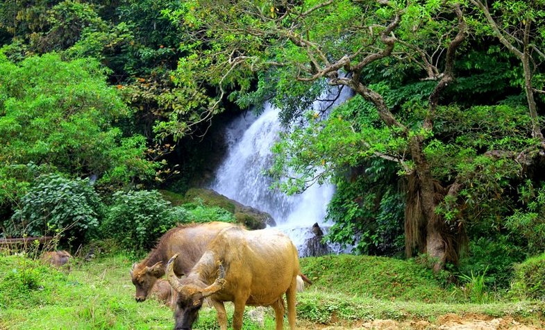 Trekking Cao Bang, Vietnam