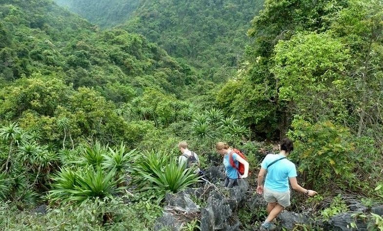 Trekking Cat Ba National Park in Hai Phong,  Vietnam