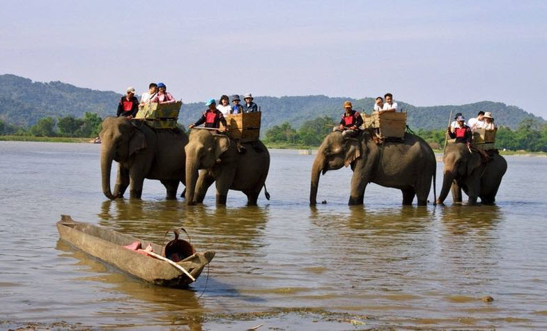 Elephant riding - Pleiku