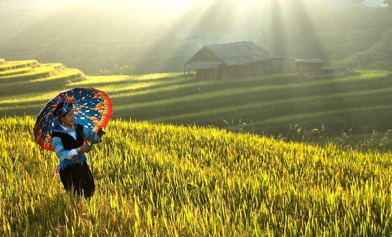 Ha Giang travel guide: visit Hoang Su Phi