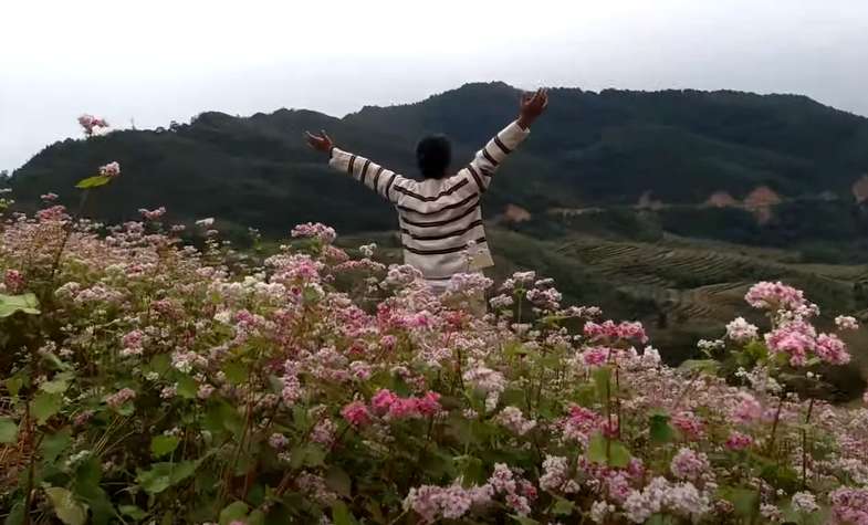 Quan Ba flower fields