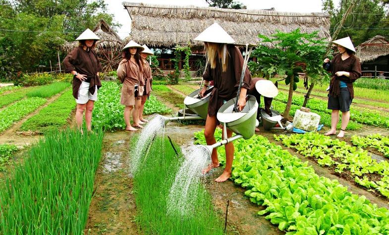 Vietnam best female travel solo destination