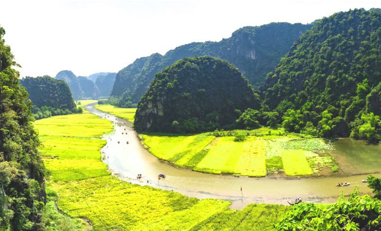 Tam Coc rice fields