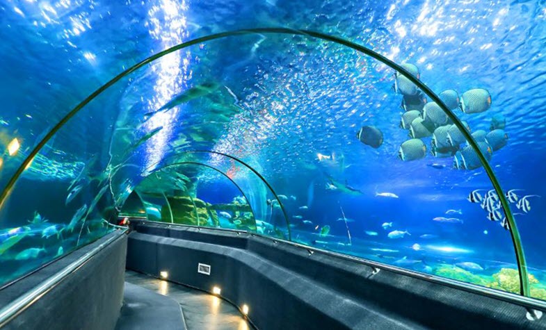 Phu Quoc Aquarium, Phu Quoc Island guide, trip to Phu Quoc Island