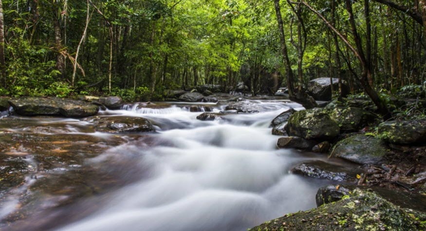 Phu Quoc National Park