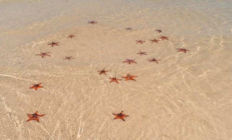 Phu Quoc island Starfish Beach