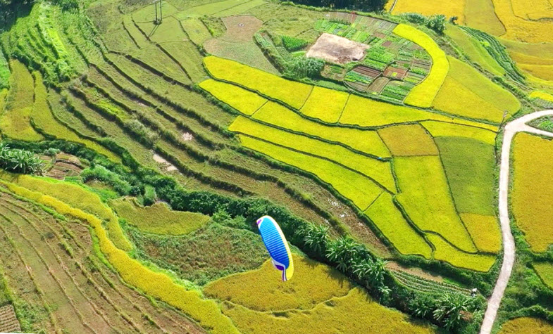 Rice terrace fields in Binh Lieu