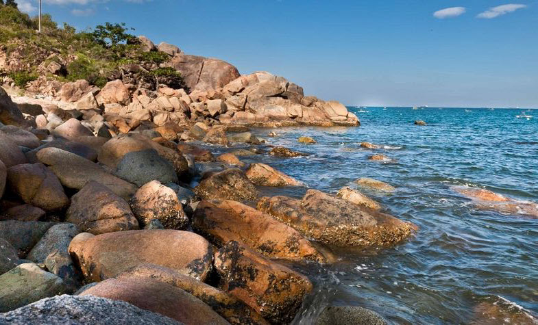 quy nhon beach