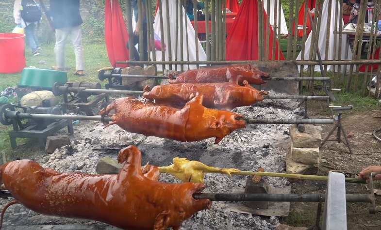 Vietnam Sapa, carried-under-arm piglet