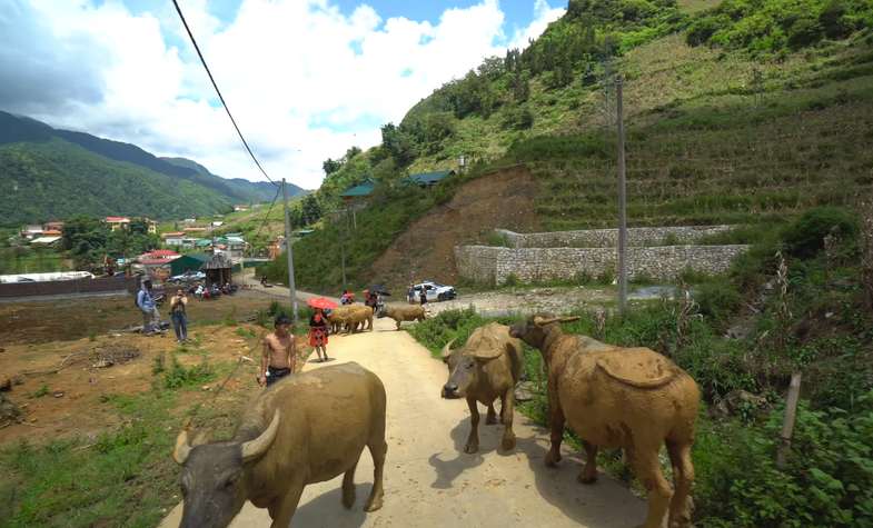 things to do in Sapa: motorbike adventure