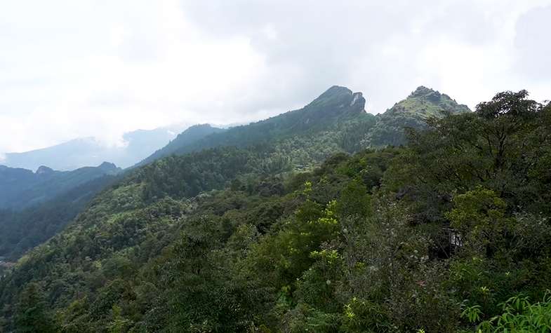 Vietnam Sapa, Ham Rong Mountain, Nui Ham Rong