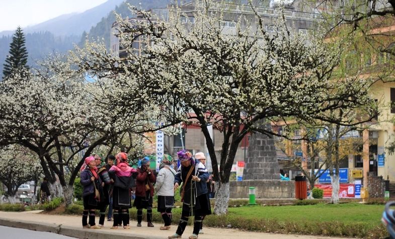 Sapa in the winter, best month to travel vietnam